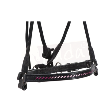 Black Leather Bridle with Braided Pink Accents