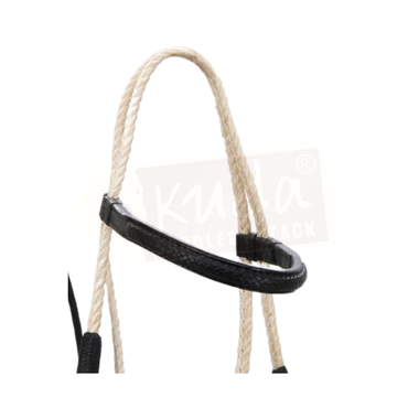 Rawhide Braided Bridle with Black Accents & Matching Bit Holder