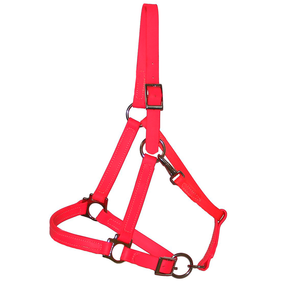 Biothane Halter Bridle