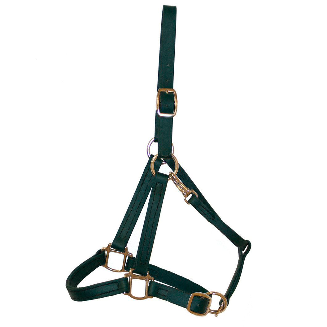 Biothane Halter Bridle