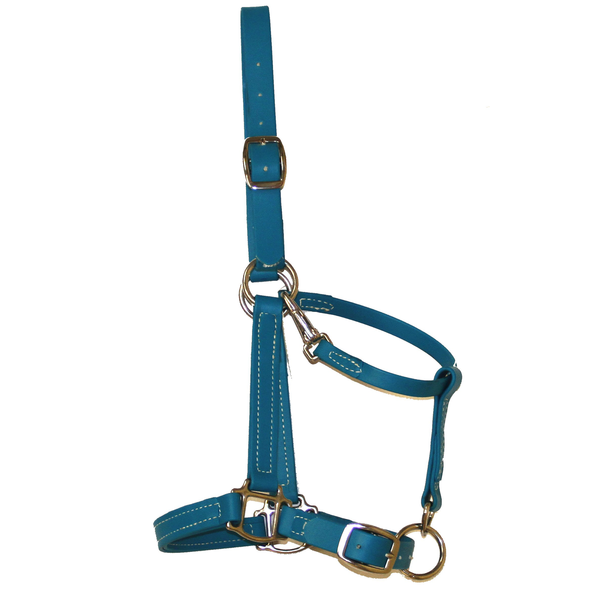 Biothane Halter Bridle