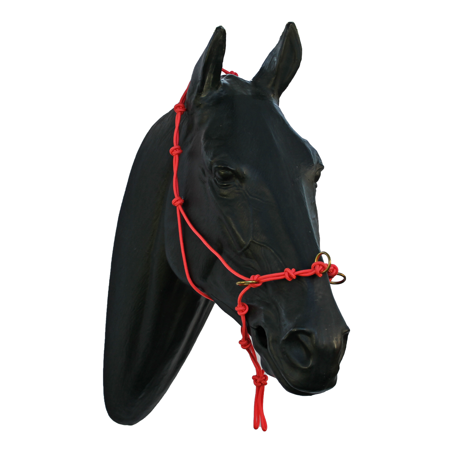 Halter - 5 Nose Knots, 4 Chin Knots, 5 Poll Knots and 3 Rings