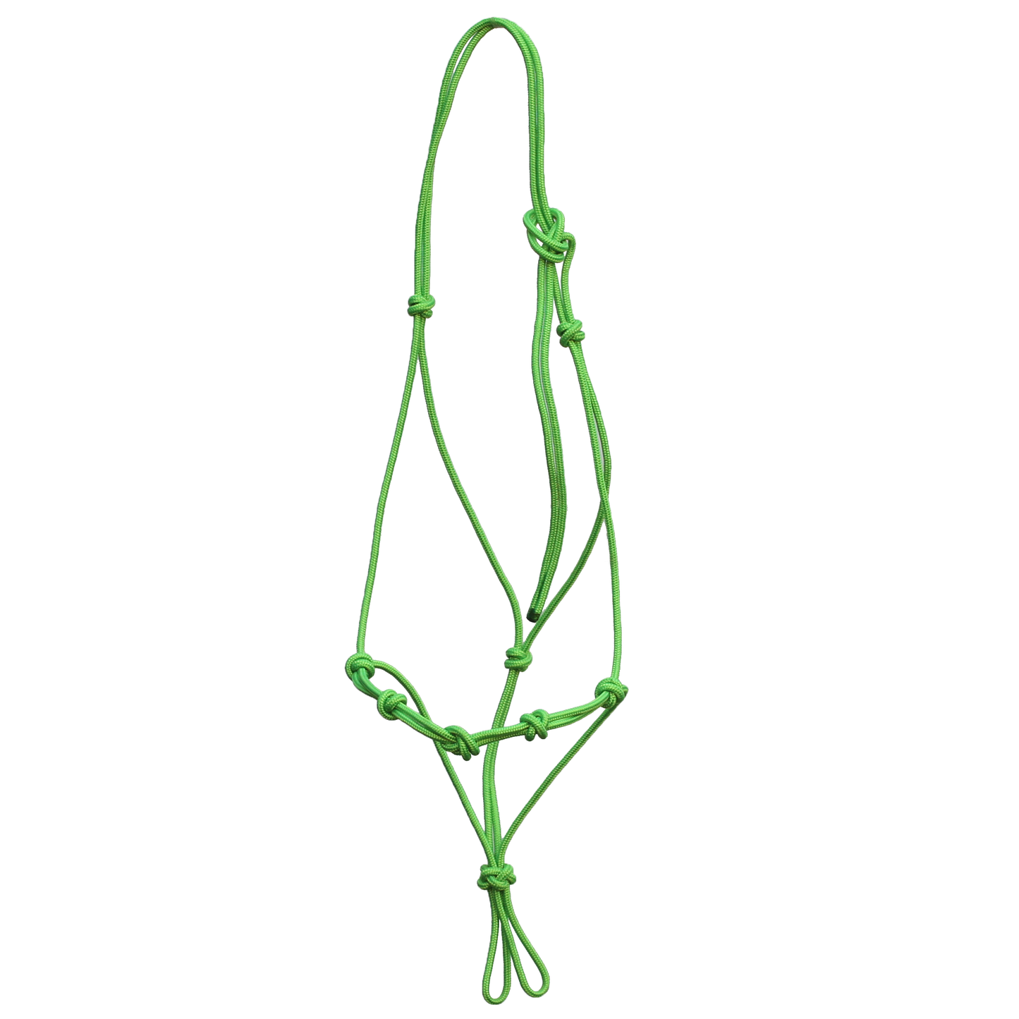 Halter - 5 Nose Knots