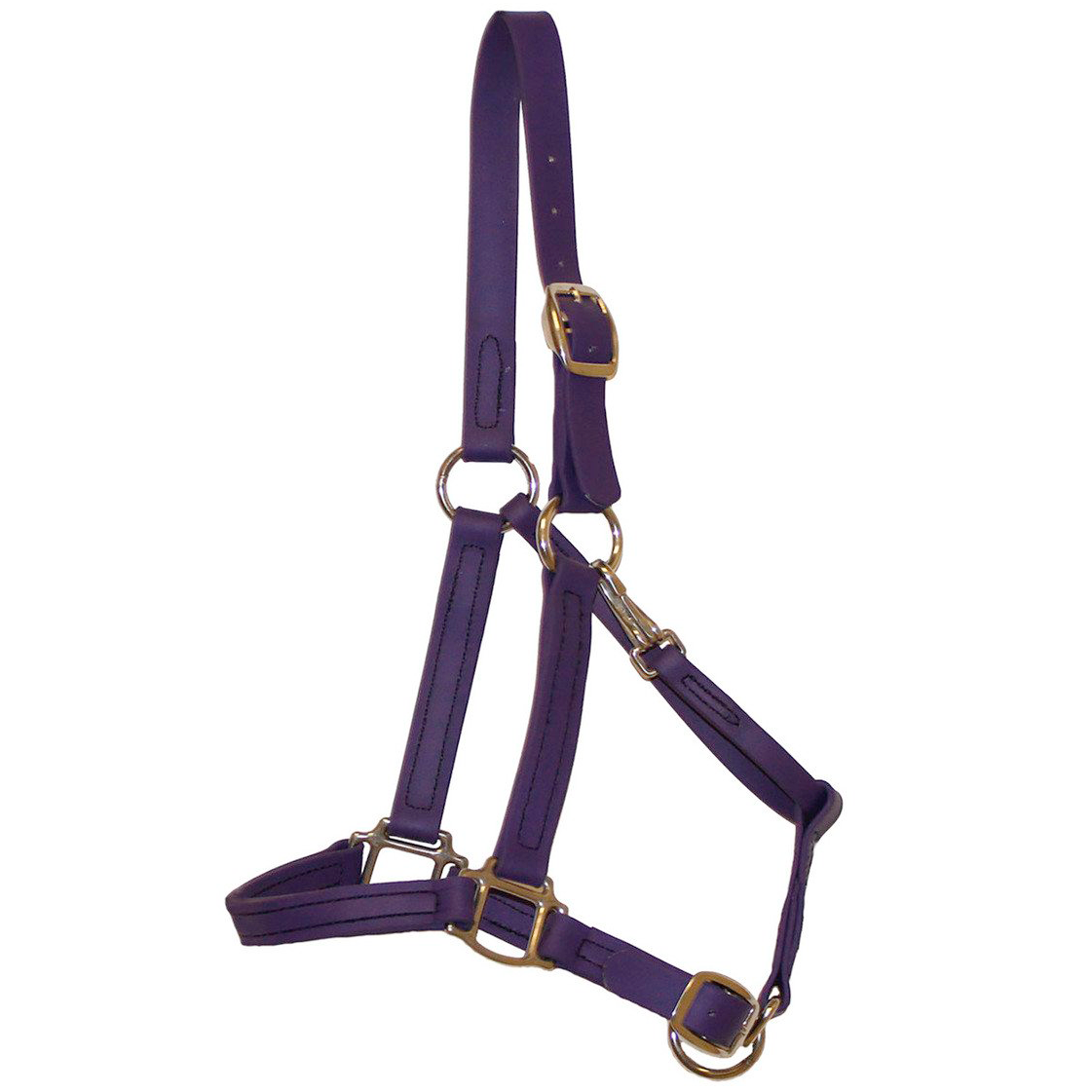 Biothane Halter Bridle