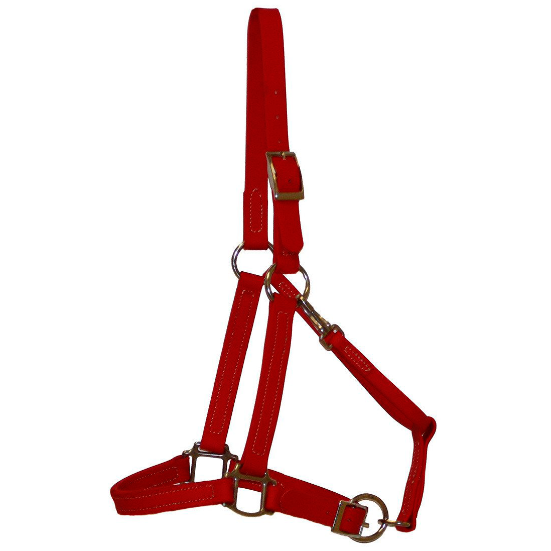 Biothane Halter Bridle