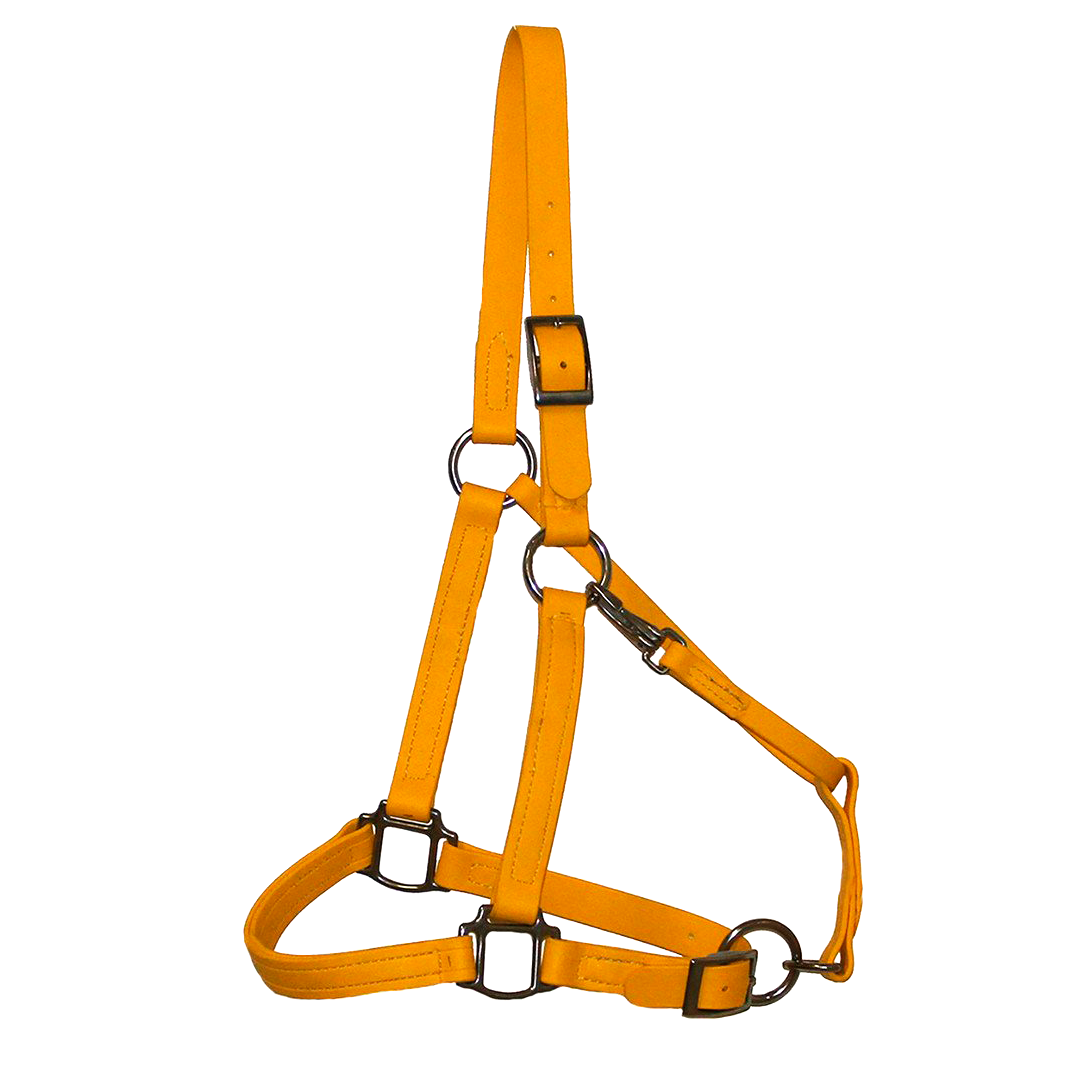 Biothane Halter Bridle