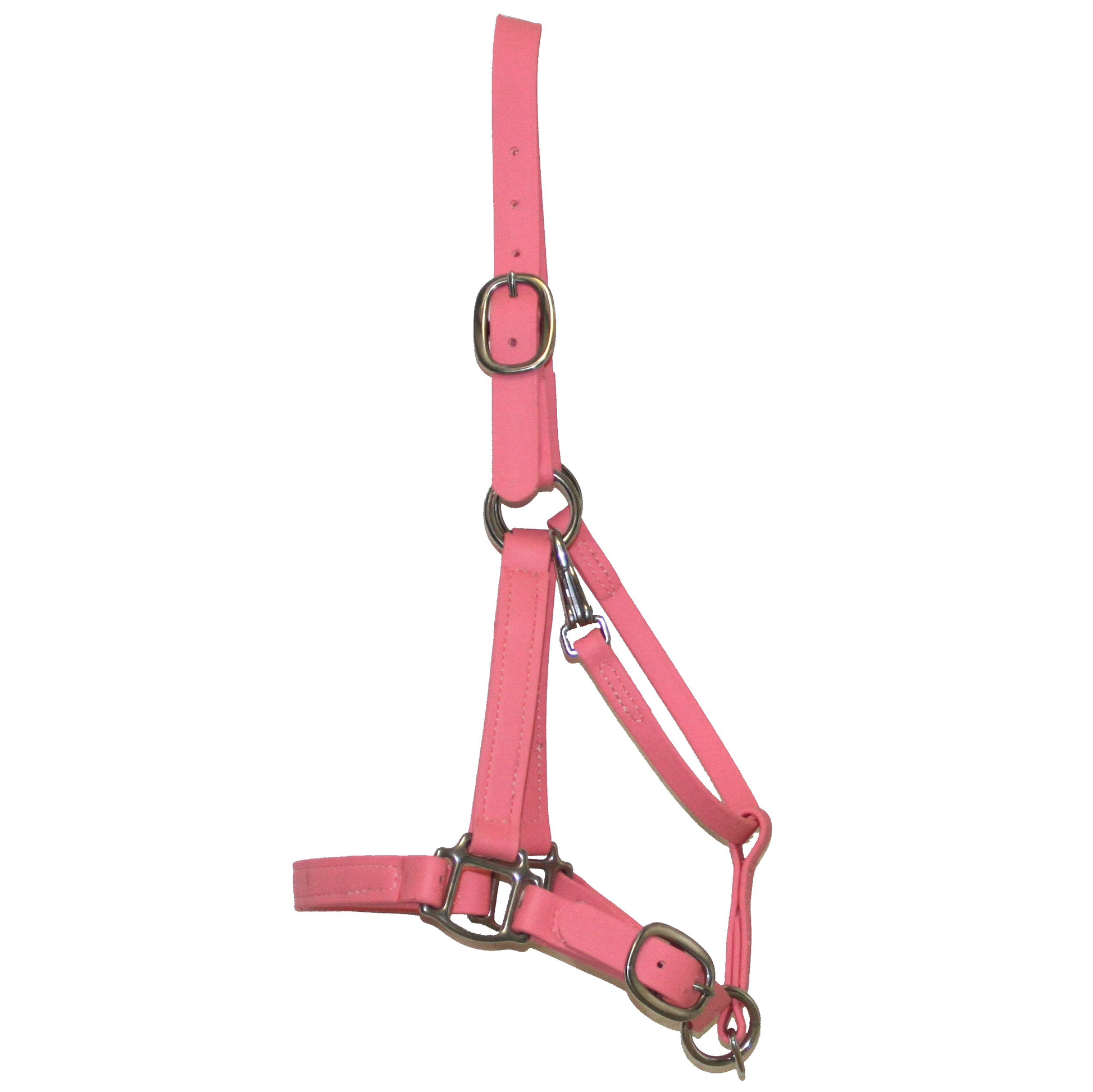 Biothane Halter Bridle