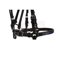 Black Leather Bridle with Braided blue Accents