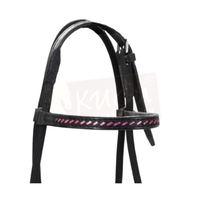 Black Leather Bridle with Braided Pink Accents