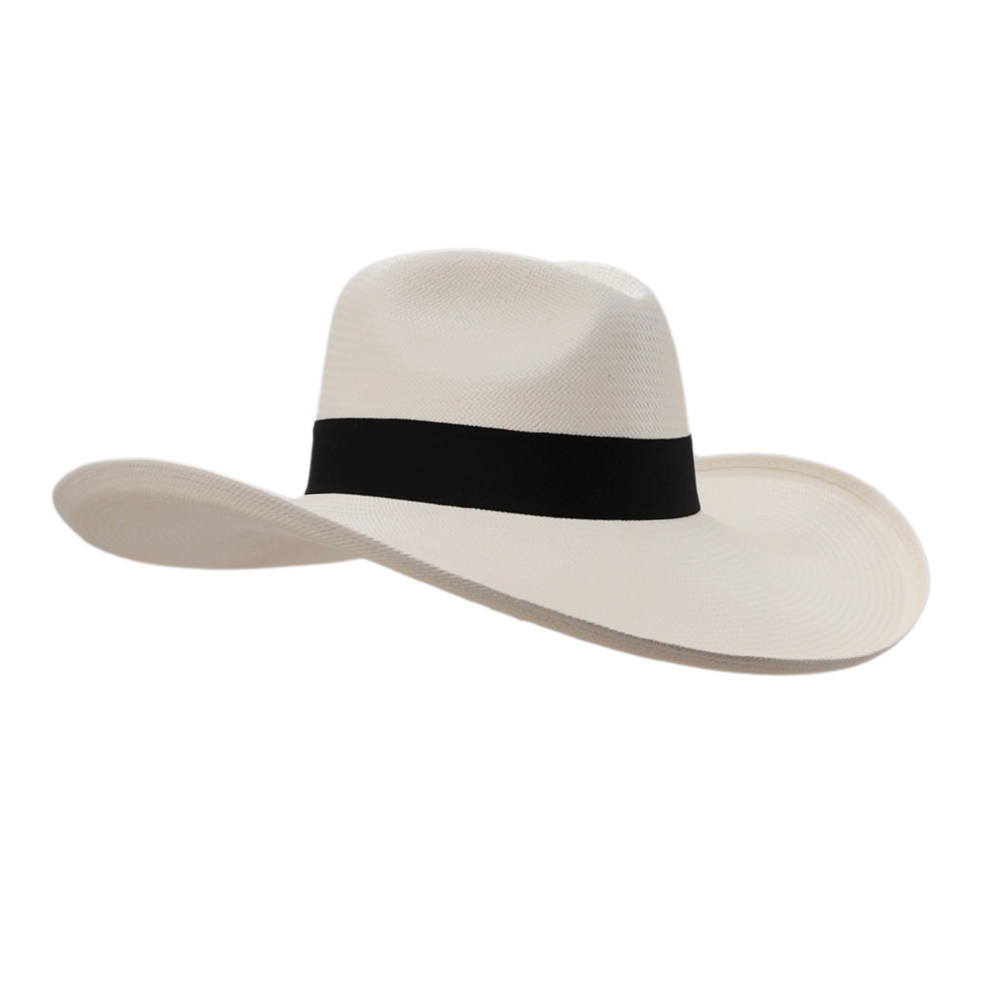 Extra Wide Brim Monaco Straw Hat