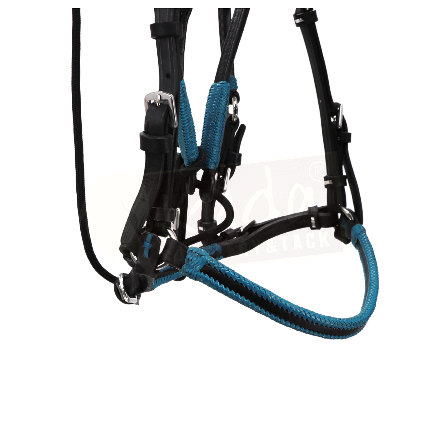Black Leather Bridle with Blue Accents, and Matching Matching S.S. Snap Reins