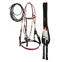 Premium Black Bridle with White & Orange Accents, and Matching Leather End Reins