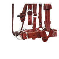 Brown Nylon/leather working bridle