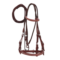 Brown Nylon/leather working bridle