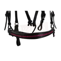 Black Leather Bridle with Braided Pink Accents