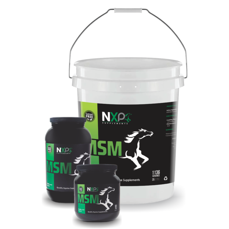 MSM Powder (5 lb) kudastore