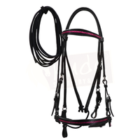 Black Leather Bridle with Braided Pink Accents