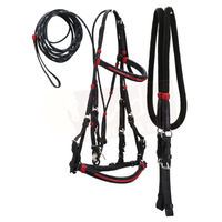 Premium Black Bridle with Red Accents and Matching Leather End Reins