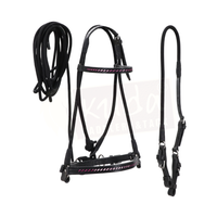 Black Leather Bridle with Braided Pink Accents