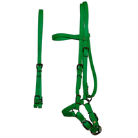 Biothane Horse Tack