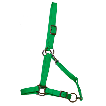 Biothane Halter Bridle