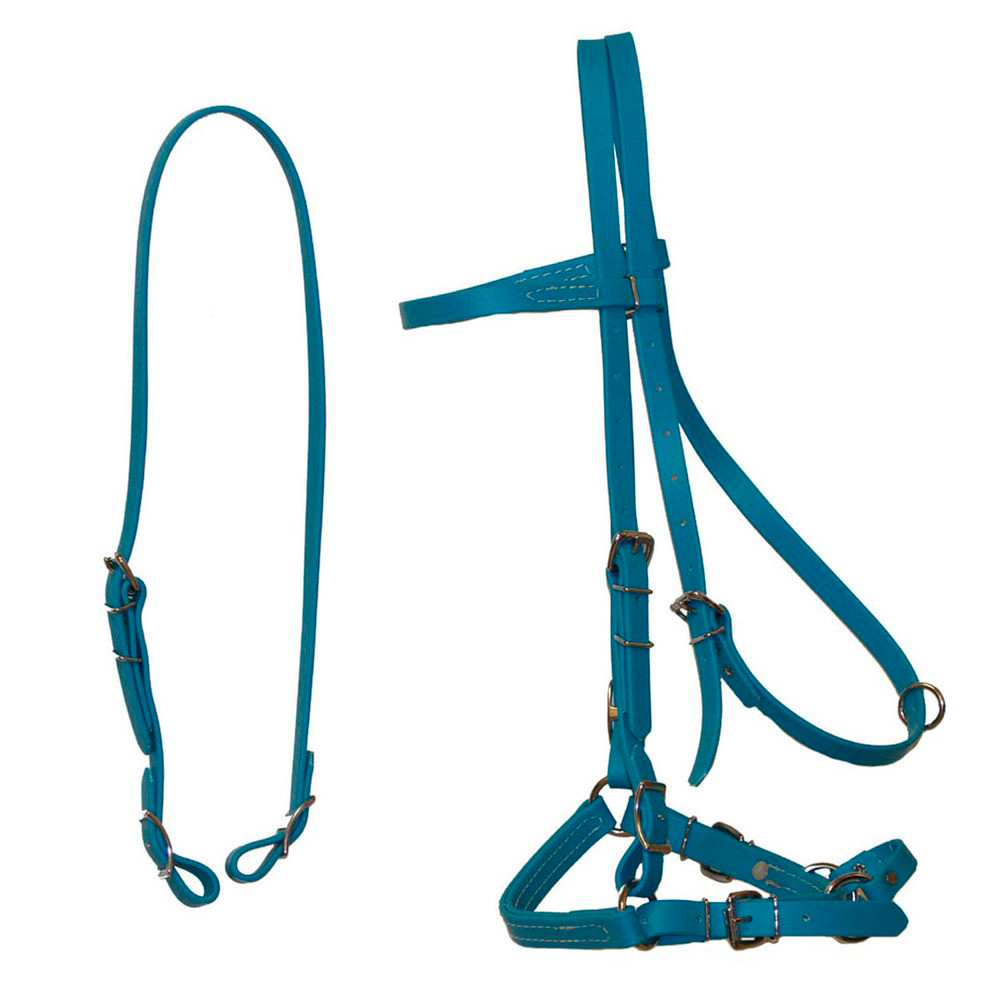 Biothane Horse Tack