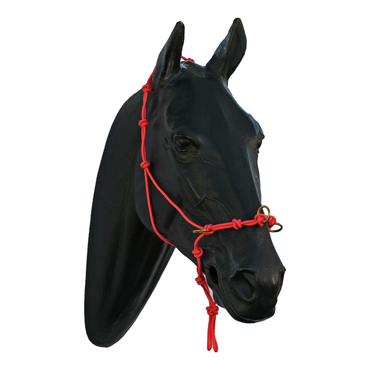 Halter - 5 Nose Knots, 4 Chin Knots, 5 Poll Knots and 3 Rings