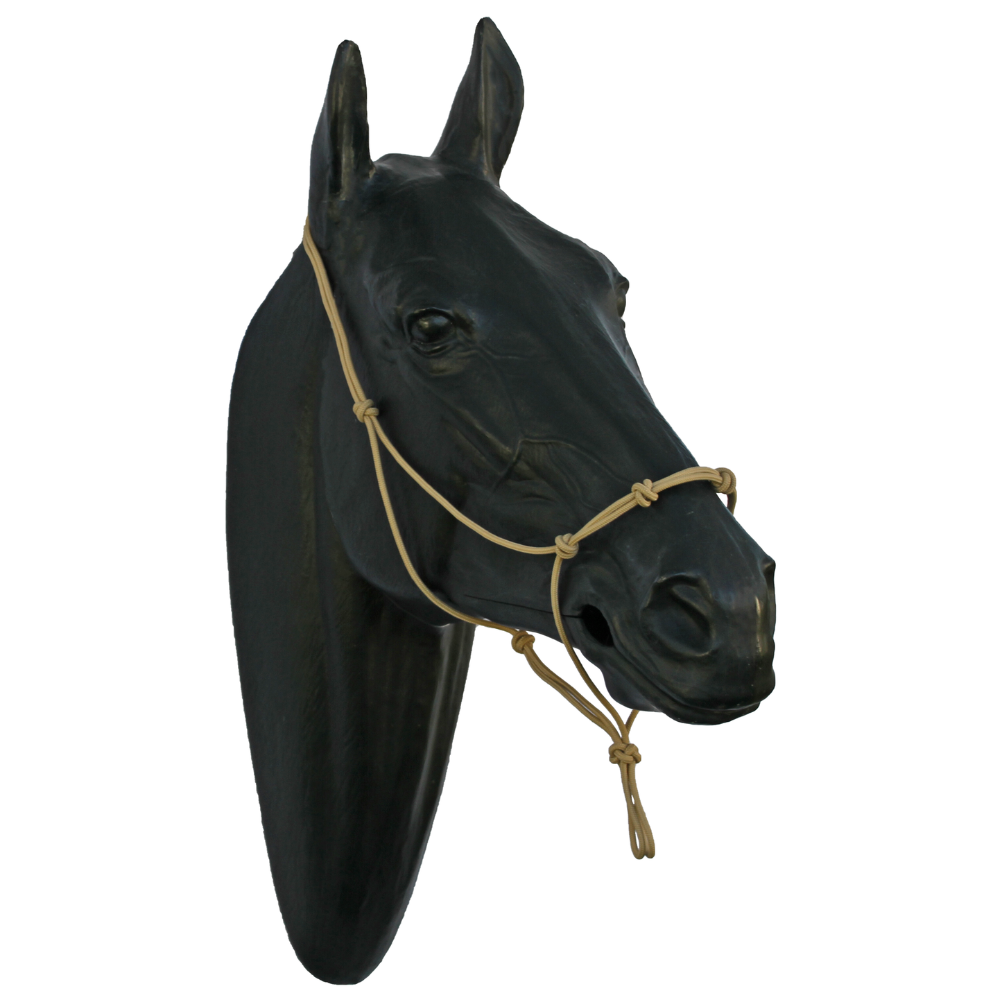 Halter - 4 Nose Knots