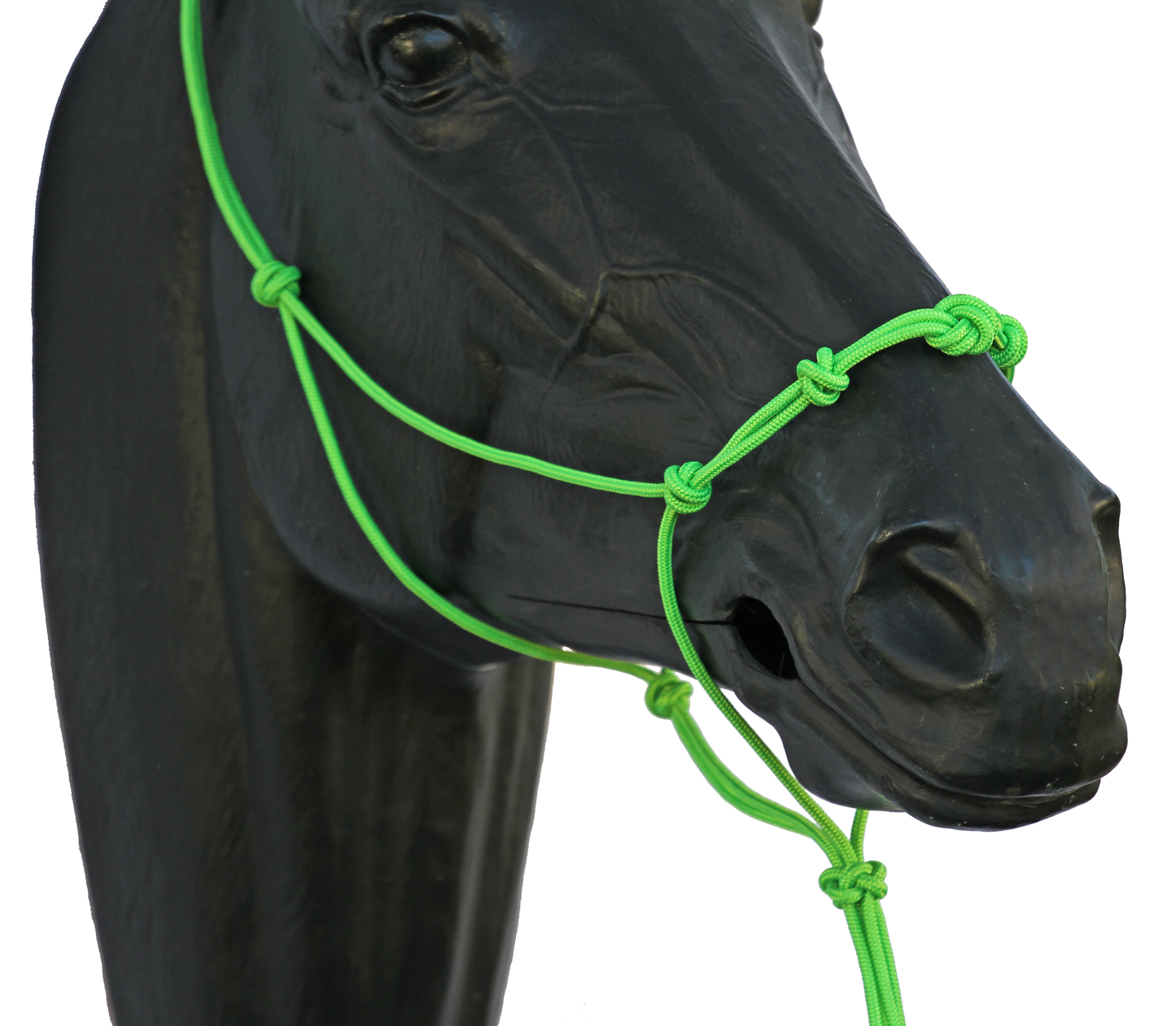 Halter - 5 Nose Knots