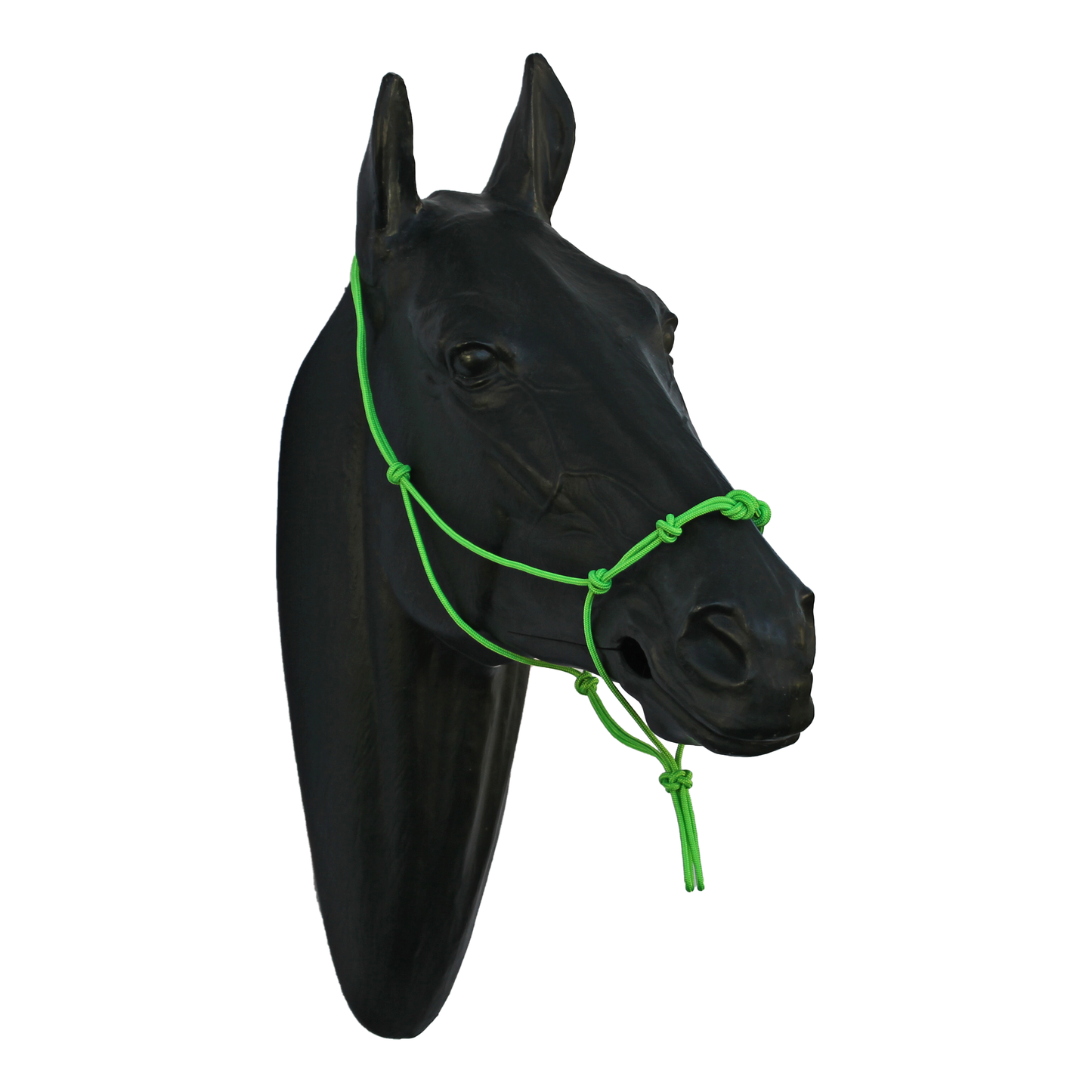 Halter - 5 Nose Knots
