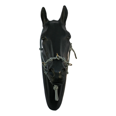 Halter - 5 Nose Knots, 4 Chin Knots and 3 rings