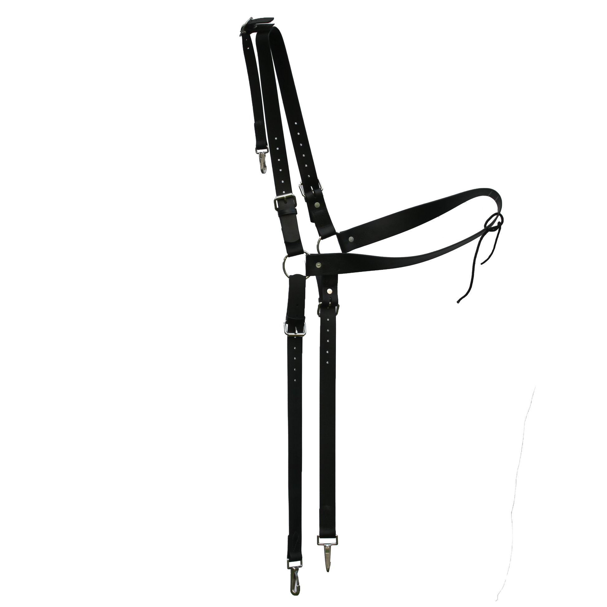 Biothane Breeching Rear End