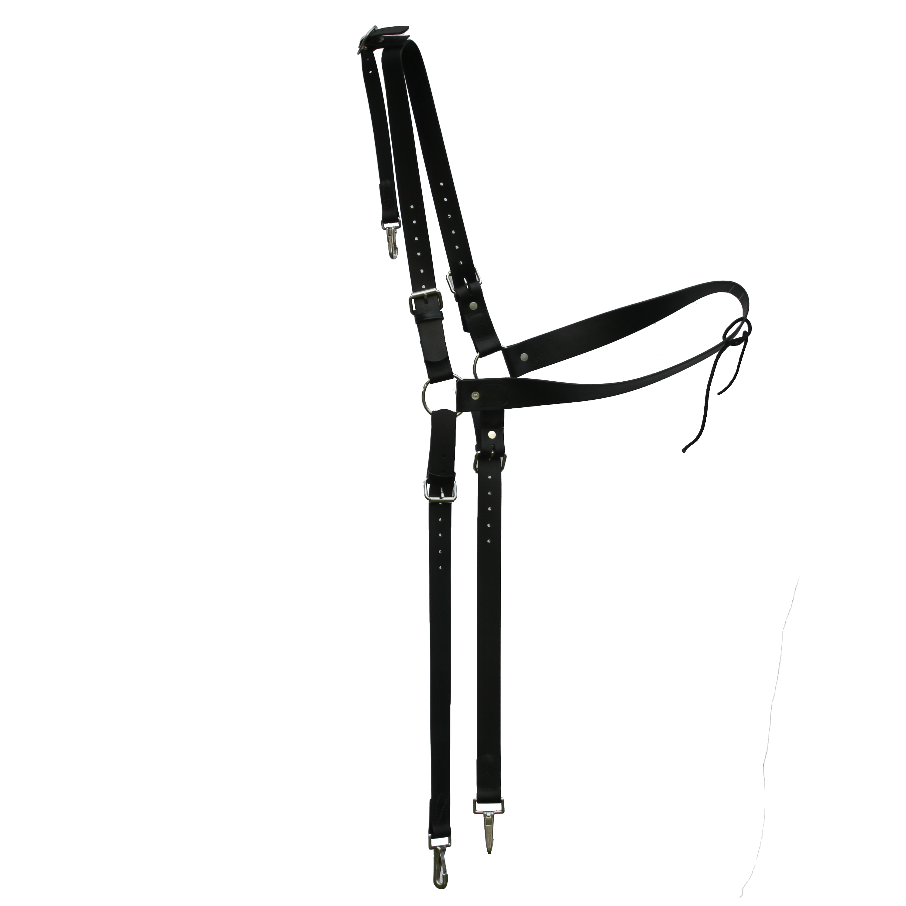 Biothane Breeching Rear End