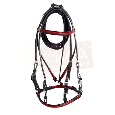 Black Bridle with Red Accents