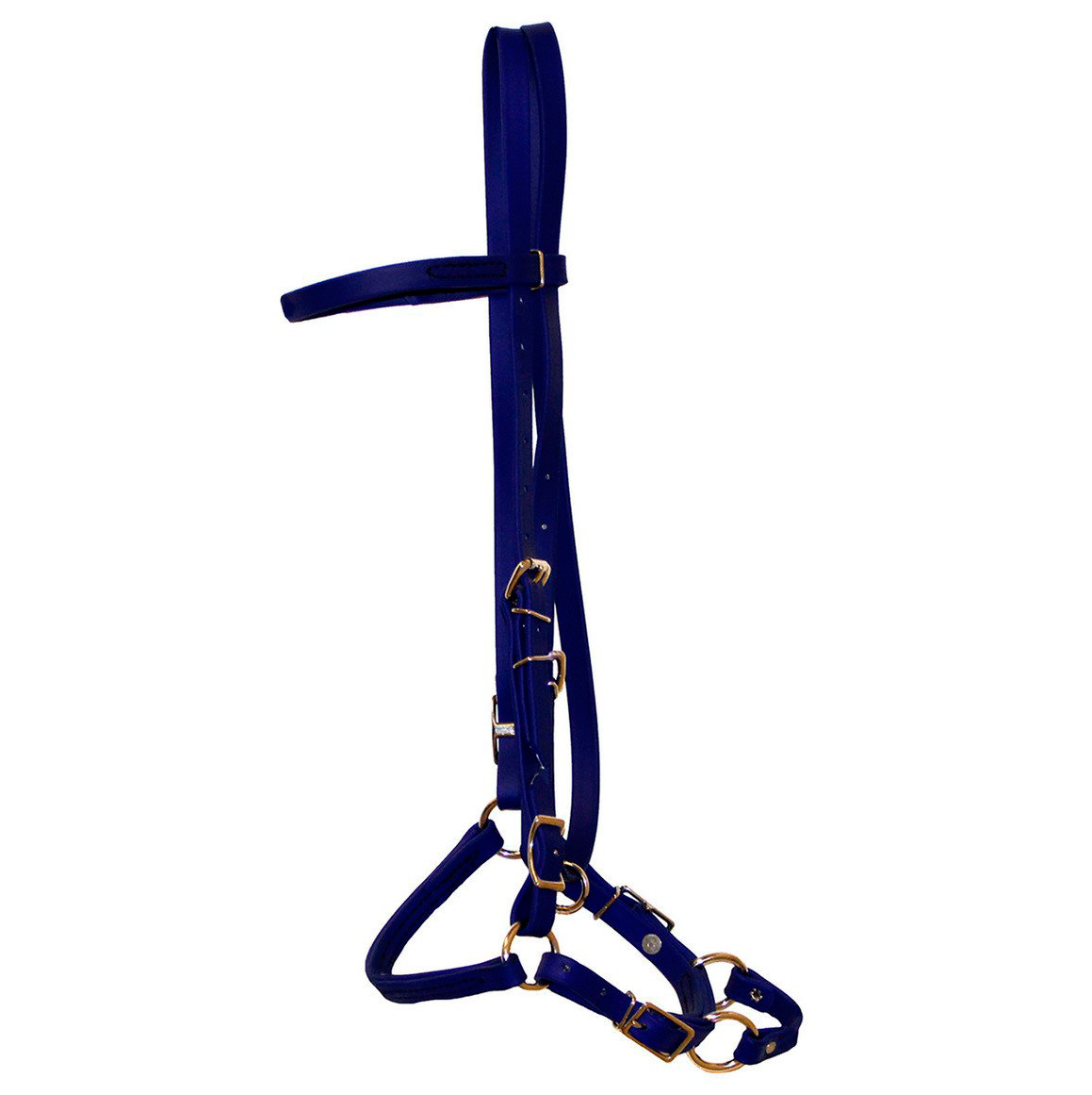 Biothane Horse Tack