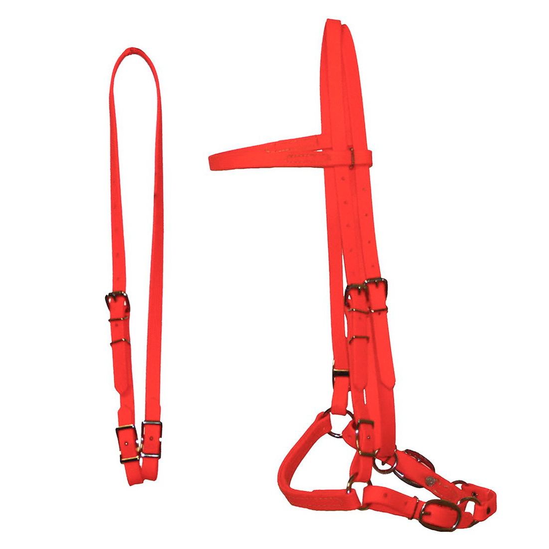 Biothane Horse Tack