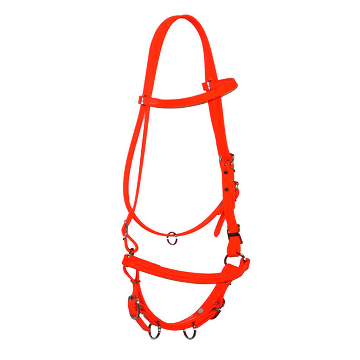 Biothane Horse Tack