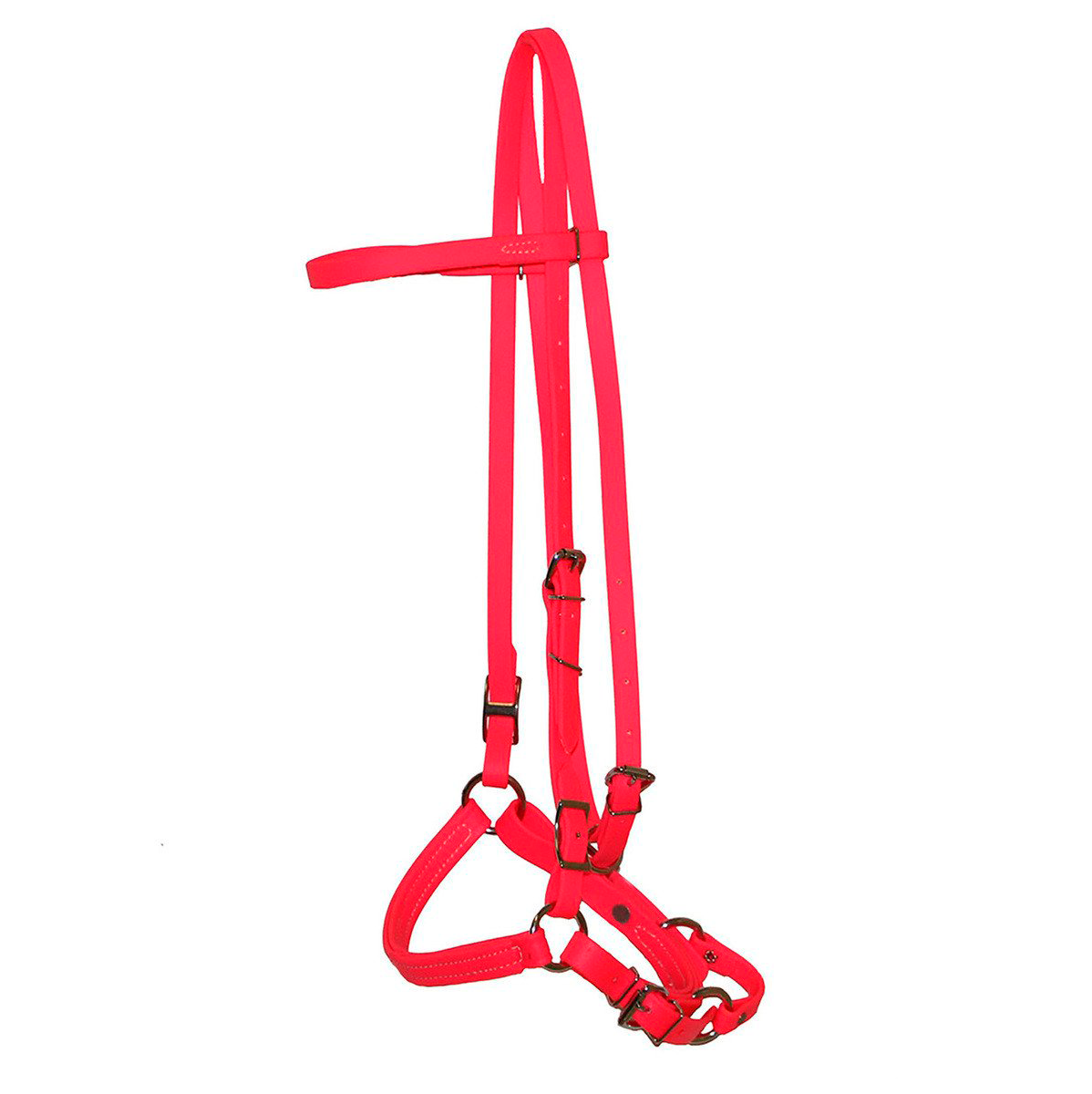 Biothane Horse Tack