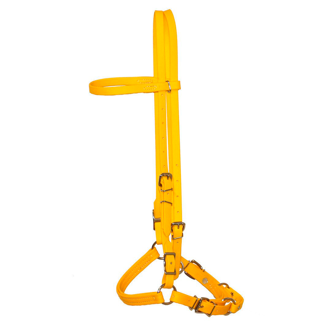 Biothane Horse Tack