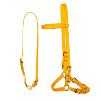 Biothane Horse Tack