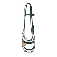 Biothane Horse Tack