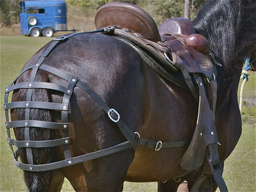Biothane Rear-End Collector Basket